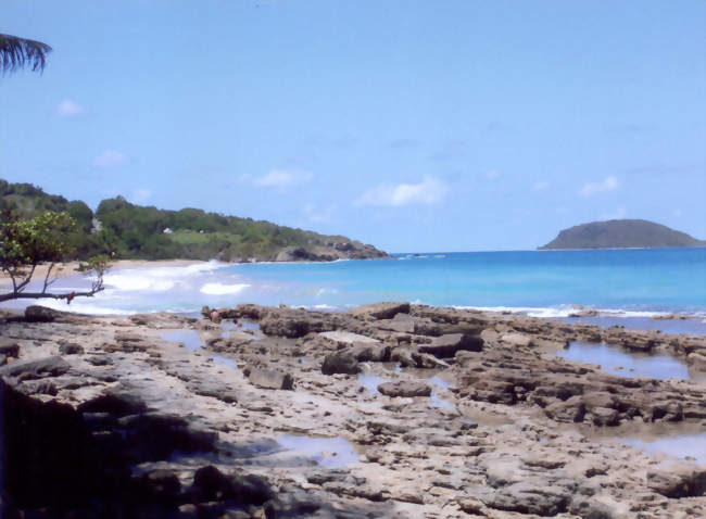 Plage de Clugny, sur Sainte-Rose - Sainte-Rose (97115) - Guadeloupe