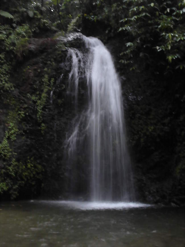 Cascade de Saut Gendarme à Fonds-Saint-Denis - Fonds-Saint-Denis (97250) - Martinique