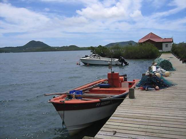 Le Marin - Le Marin (97290) - Martinique