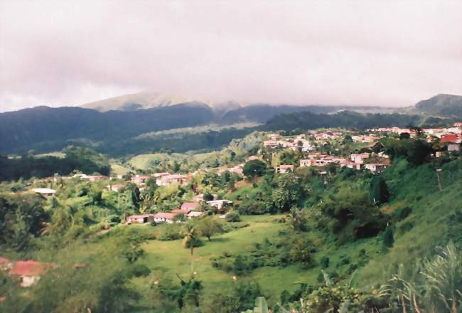 Le Morne-Rouge - Le Morne-Rouge (97260) - Martinique