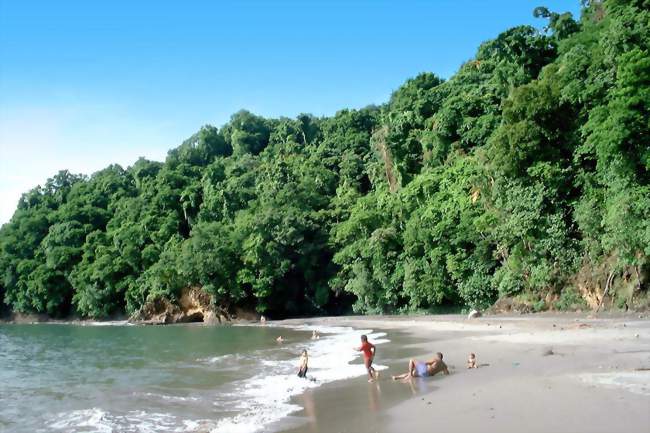 Vue de Anse Couleuvre - Le Prêcheur (97250) - Martinique