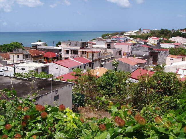 Vue de Sainte-Luce et de la mer des Caraïbes - Sainte-Luce (97228) - Martinique