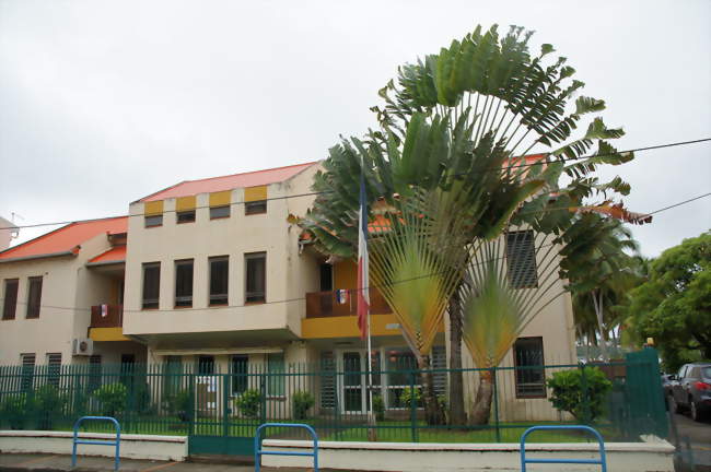 La sous-préfecture et son arbre du voyageur - La Trinité (97220) - Martinique