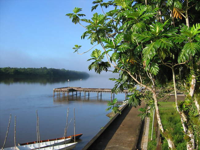 Vue de l'Approuage depuis Régina - Régina (97390) - Guyane