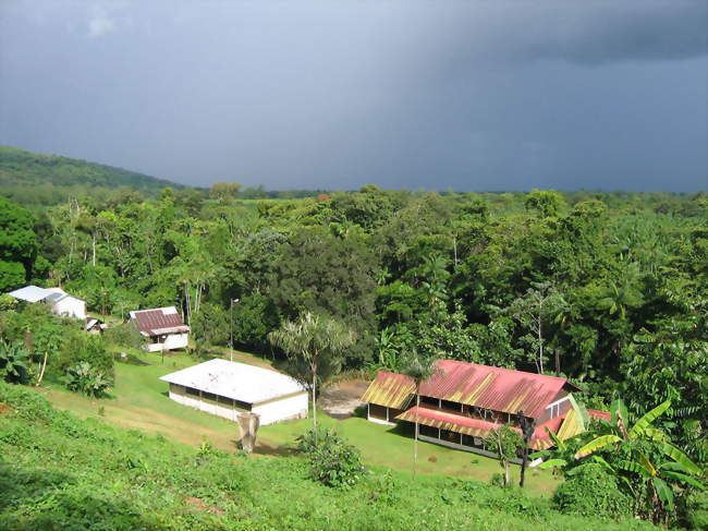 Vue d'Ouanary depuis la piste agricole - Ouanary (97380) - Guyane