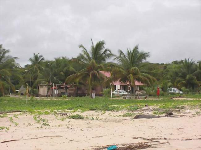 Vue du village Yalimapo depuis la plage des Hattes - Awala-Yalimapo (97319) - Guyane