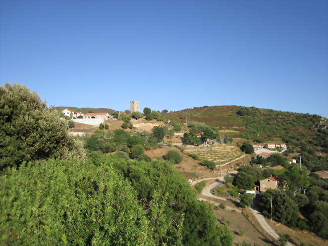 Arbellara - Arbellara (20110) - Corse-du-Sud