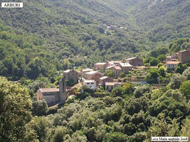 Le village d'Àrburi - Arbori (20160) - Corse-du-Sud