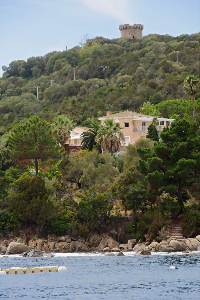 Le rivage à Coti-Chiavari, entre la pointe de la Castagna et l'anse de Portigliolo - Coti-Chiavari (20138) - Corse-du-Sud