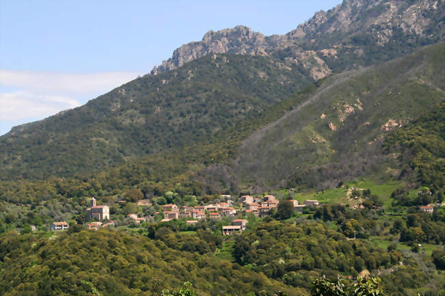 Murzo - Murzo (20160) - Corse-du-Sud