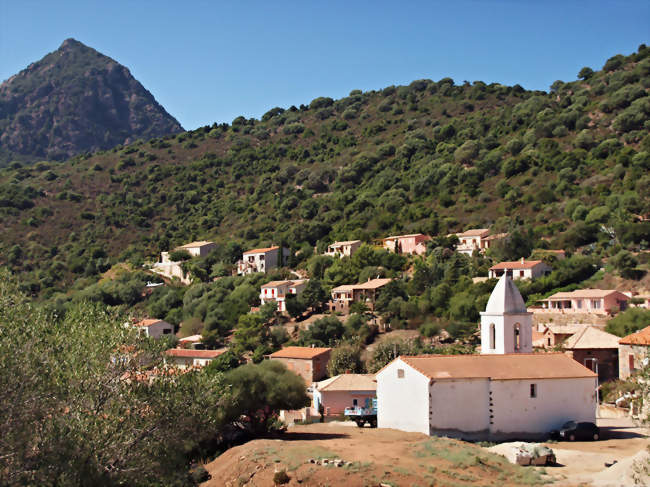 Vue du village et de Punta Castellucciu - Osani (20147) - Corse-du-Sud