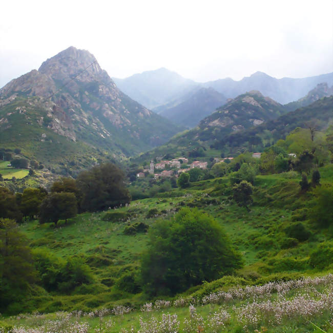 Vue du village de Peri au printemps depuis le fond du vallon de Santa Libarata - Peri (20167) - Corse-du-Sud
