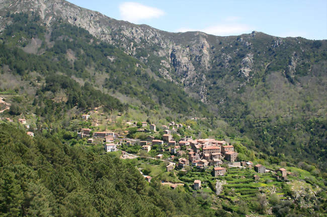 Vue de Rosazia - Rosazia (20121) - Corse-du-Sud