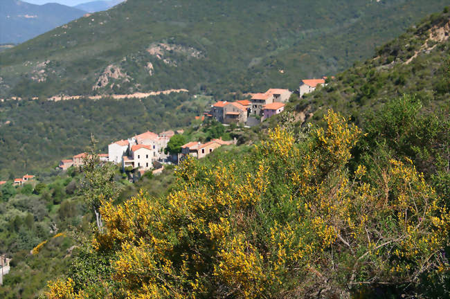 La partie haute du village - Sari-d'Orcino (20151) - Corse-du-Sud