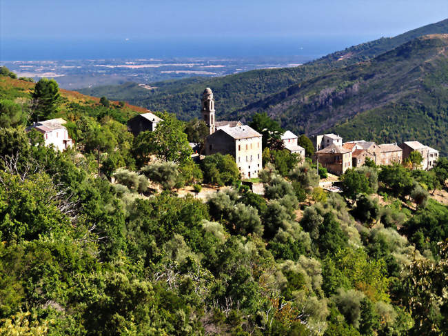 Ampriani et la plaine de Tallone - Ampriani (20272) - Haute-Corse