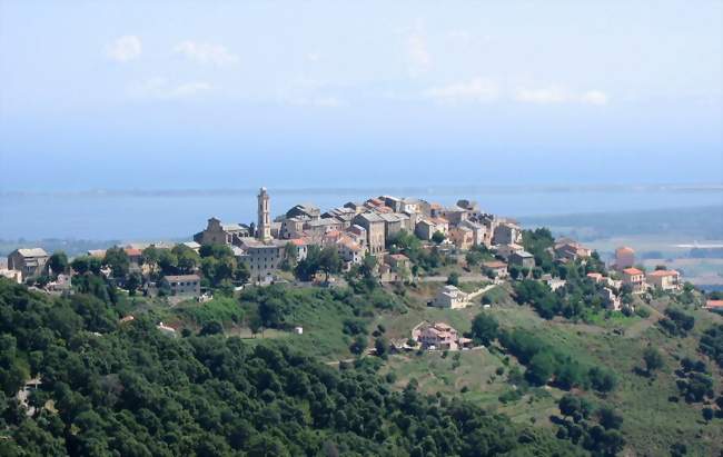 Assistant social / Assistante sociale