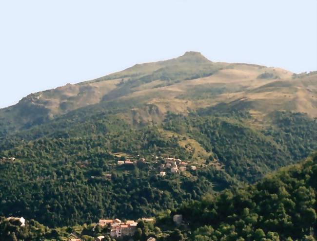 San Petrone Villages de Cambia et de Loriani (commune de Cambia) - Cambia (20244) - Haute-Corse