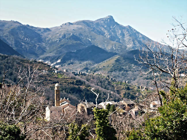 Vue de Carpineto - Carpineto (20229) - Haute-Corse