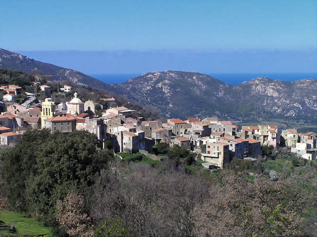 Vue sur Cateri - Cateri (20225) - Haute-Corse