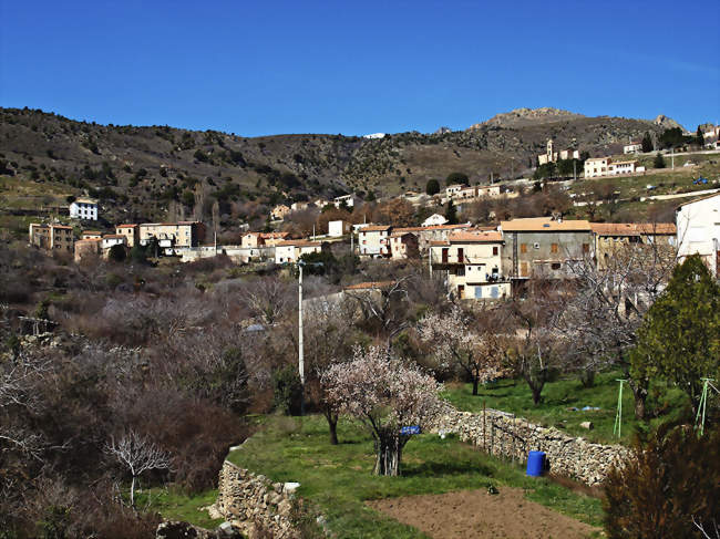 Vue du village - Corscia (20224) - Haute-Corse