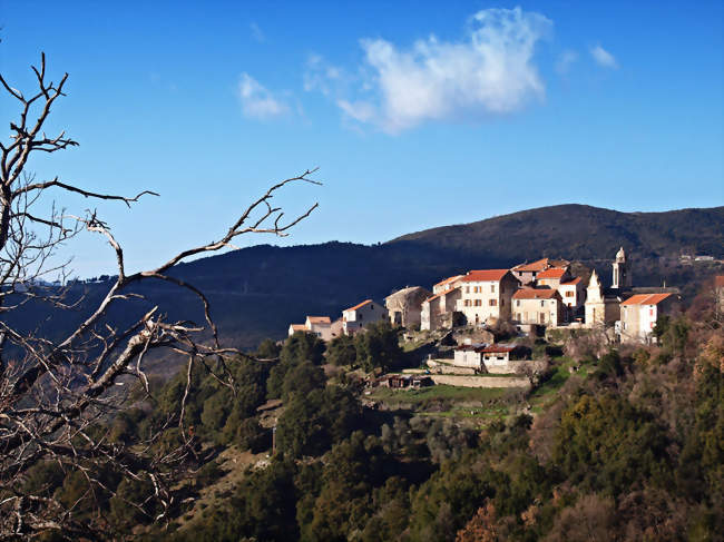 Vue du village - Focicchia (20212) - Haute-Corse
