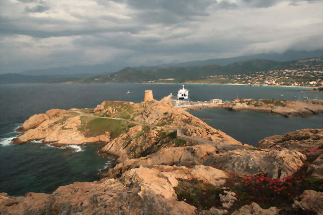 Vue sur le port de L'Île-Rousse - L'Île-Rousse (20220) - Haute-Corse