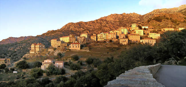 Vue du village - Lama (20218) - Haute-Corse