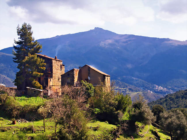 Lano - Village et Monte San Petrone (1767m) - Lano (20244) - Haute-Corse