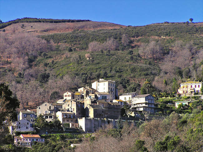 Vue sur Lucciana - Lucciana (20290) - Haute-Corse