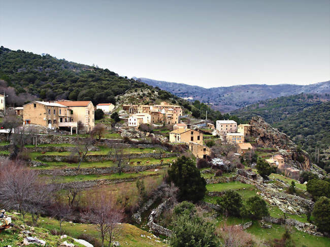 Vue du village - Mausoléo (20259) - Haute-Corse