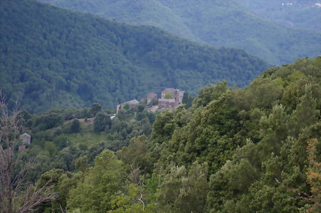 Vue de Monacia-d'Orezza - Monacia-d'Orezza (20229) - Haute-Corse