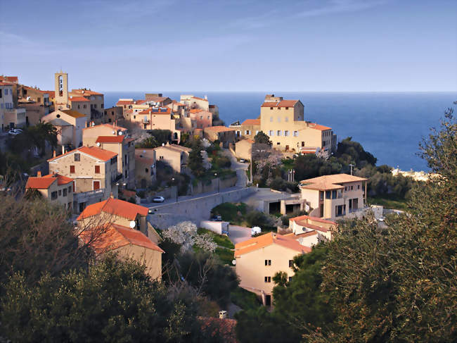 Vue de Monticello - Monticello (20220) - Haute-Corse