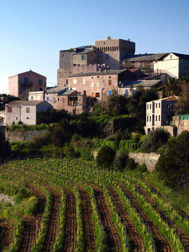 Vue de Stanti - Morsiglia (20238) - Haute-Corse