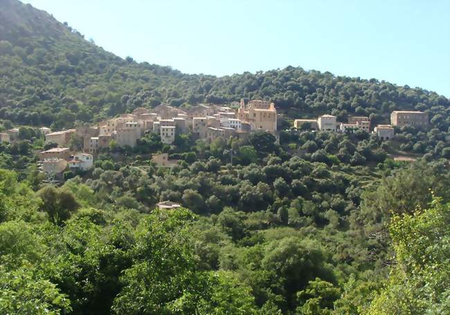 Le village de Muro vu de l'est - Muro (20225) - Haute-Corse