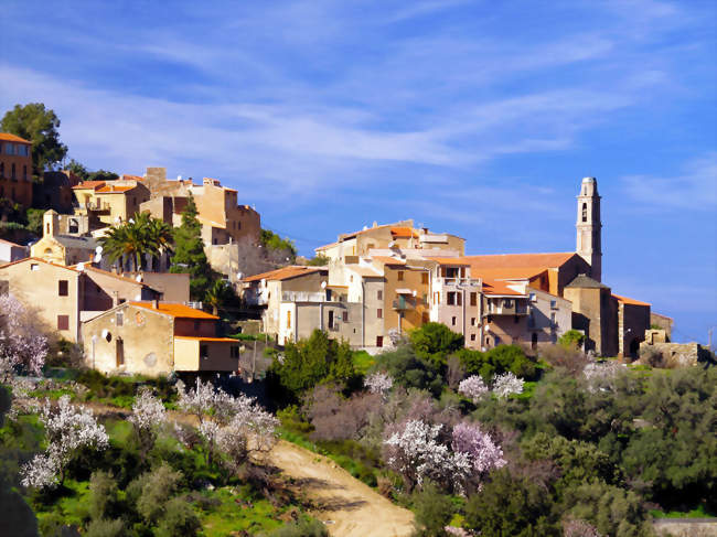 Vue sur Occhiatana - Occhiatana (20226) - Haute-Corse