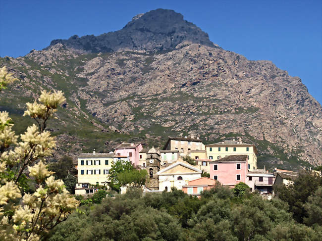 Vue d'Ogliastro - Ogliastro (20217) - Haute-Corse