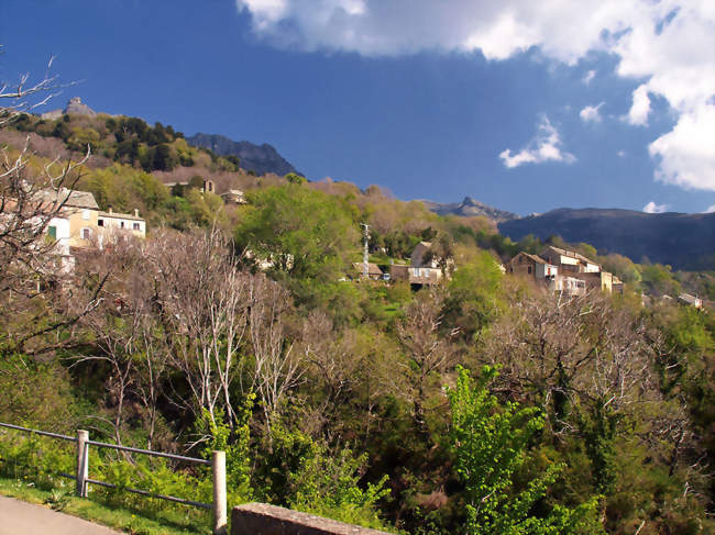 Vue de Ferragini - Olcani (20217) - Haute-Corse