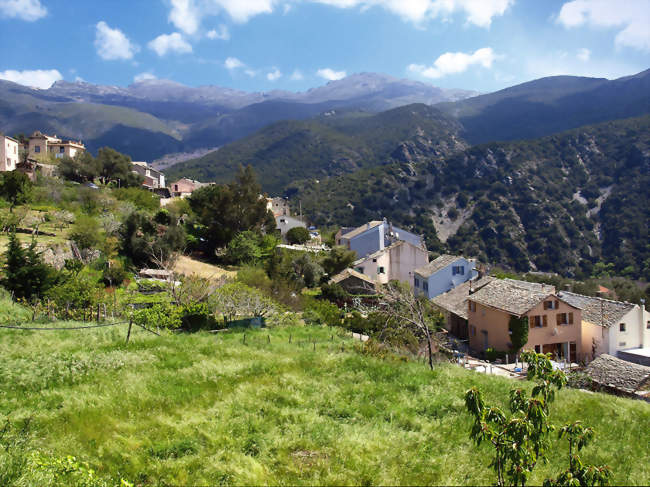 Vue de Piazze - Olmeta-di-Capocorso (20217) - Haute-Corse