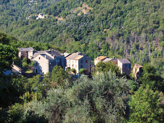 Vue du village d'Acquatella - Penta-Acquatella (20290) - Haute-Corse
