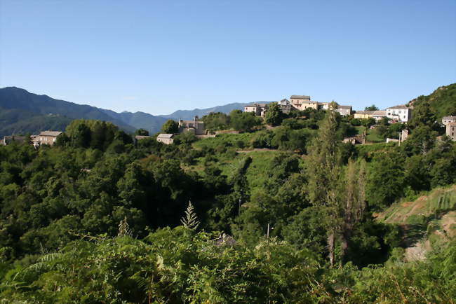 Piano - Piano (20131) - Haute-Corse