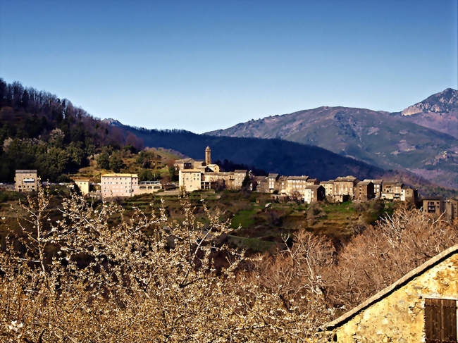 Vue du village - Piedicroce (20229) - Haute-Corse