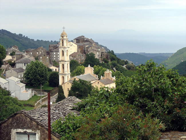 Vue sur Pietra-di-Verde - Pietra-di-Verde (20230) - Haute-Corse