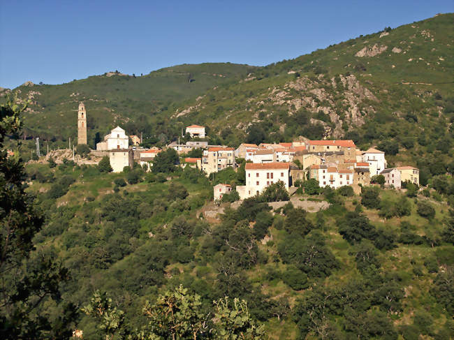 Vue du village - Piève (20246) - Haute-Corse
