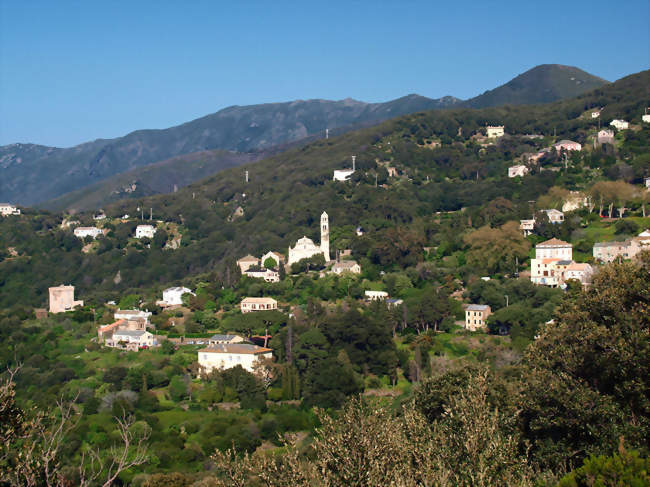 Vue du village - Pino (20228) - Haute-Corse