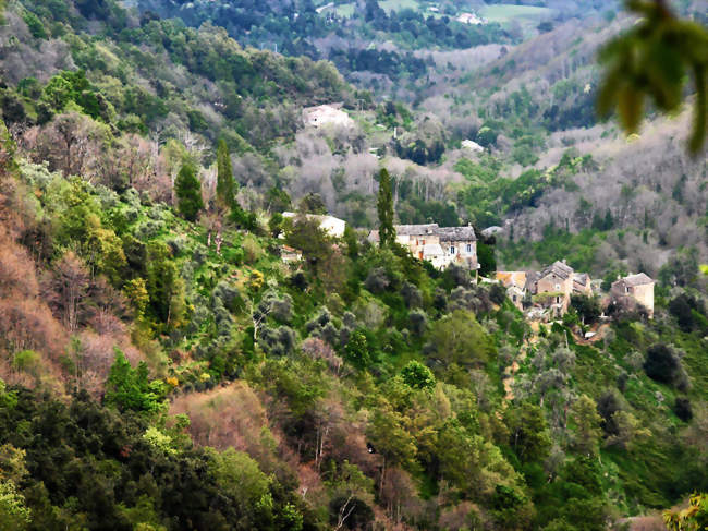 Vue de Poggio-Marinaccio - Poggio-Marinaccio (20237) - Haute-Corse