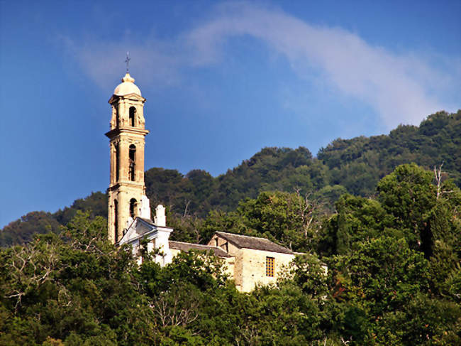 Vue de la cathédrale - Sant'Andréa-di-Bozio (20212) - Haute-Corse