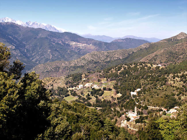 Vue de San-Lorenzo - San-Lorenzo (20244) - Haute-Corse