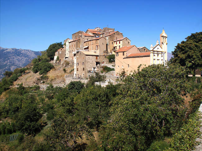 Vue du village de Tralonca - Tralonca (20250) - Haute-Corse