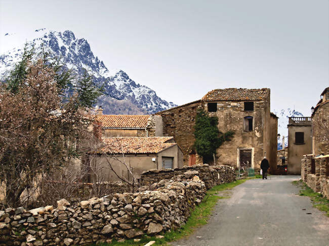 Le village et le Monte Padro - Vallica (20259) - Haute-Corse