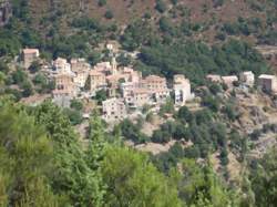 photo Castiglione